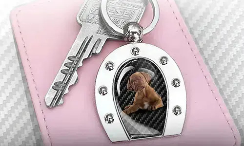 gallery-photo-horseshoe-keychain-4