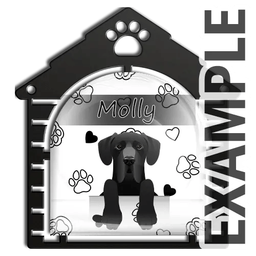  Cornice per foto di gatti