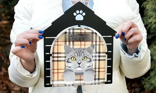 gallery-cats-picture-frame-8