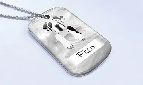 gallery-dog-tag-pet-basic-4
