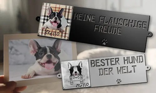 Galerie-Hunde-Warnschild-Petline-Basic-1