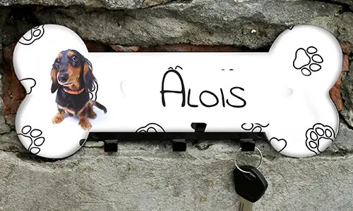 galleria-portachiavi-gatto-5