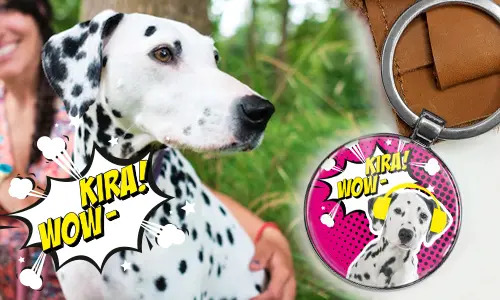 gallery-keychain-pet-comic-2