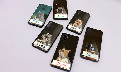 gallery-mobile-case-pet-royal-1