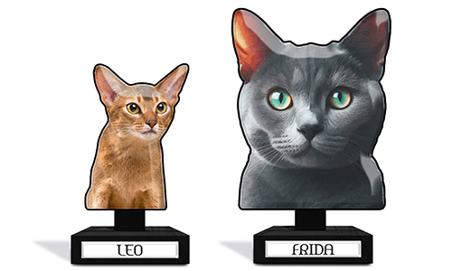 Personalised table decoration for a cat owner - with photo of your cat and its name