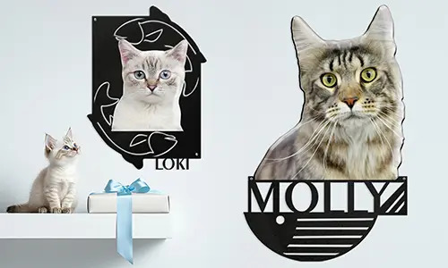 Personalizowana dekoracja ścienna ze zdjęciem i imieniem twojego uroczego kota