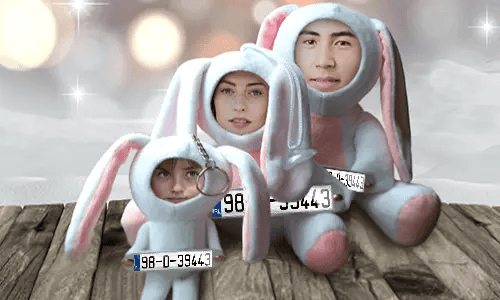 Car Photo Stuff Toy Bunny