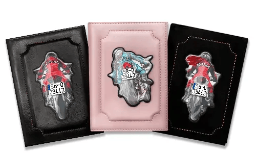 Funda para documentación del vehículo con tu nombre y matrícula